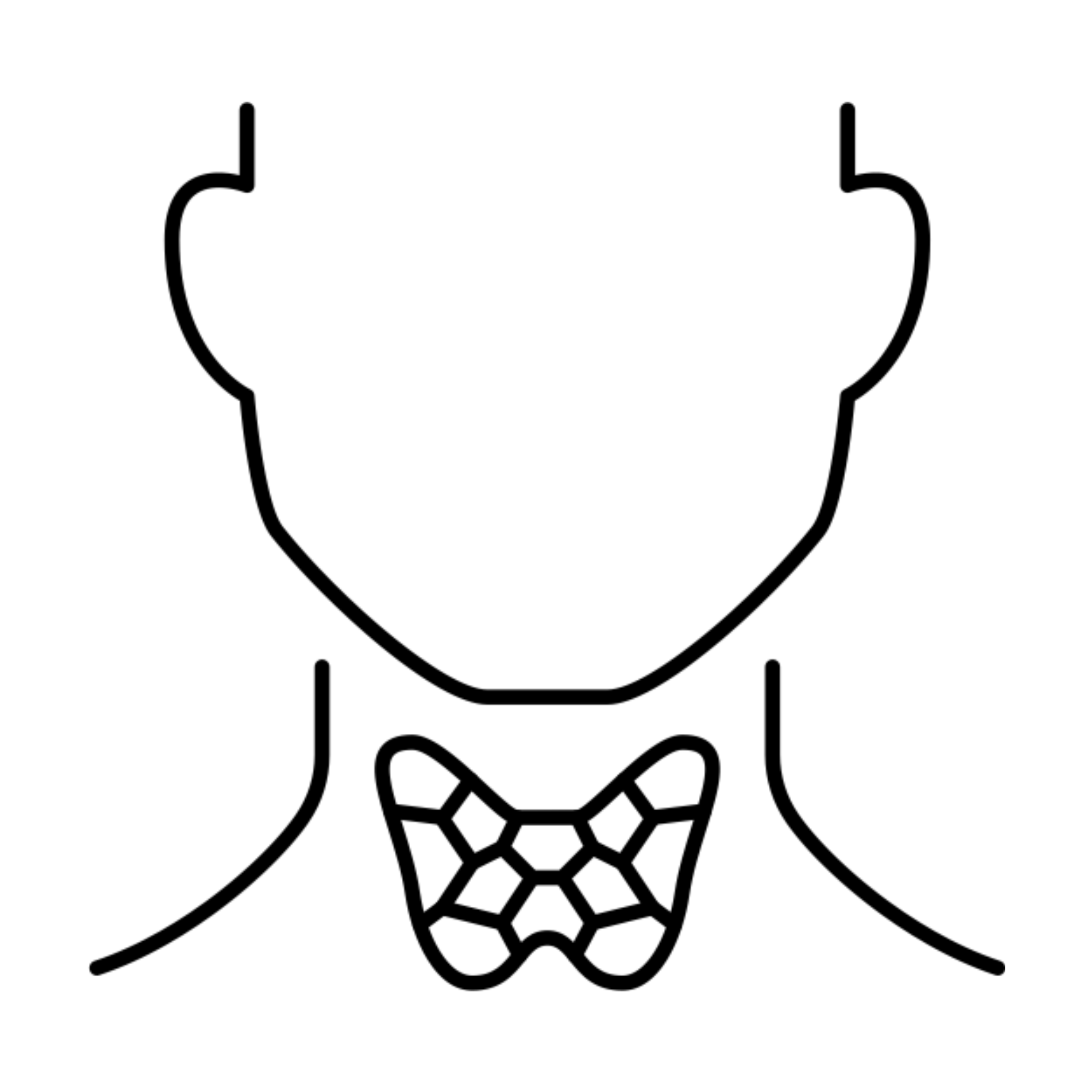 ikona