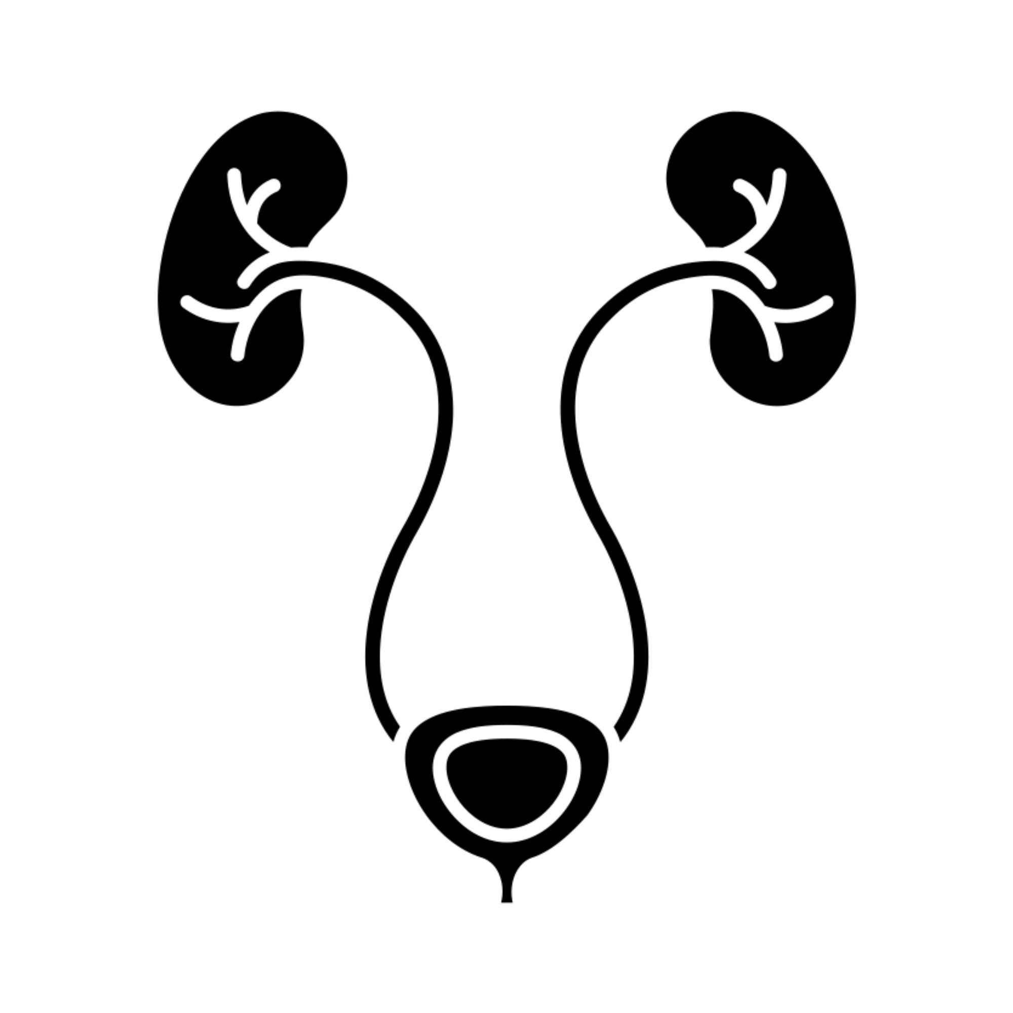ikona